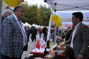 Pamukova Ayva ve Yöresel Ürünler Festivali