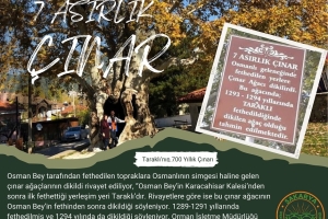 7 Asırlık Çınar
