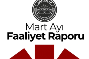 Mart Ayı Faaliyet Raporu