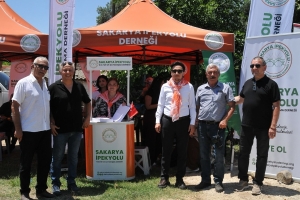 Pamukova / Gökgöz Hıdırellez Şenliği