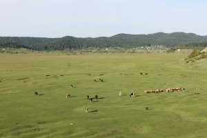 TARAKLI